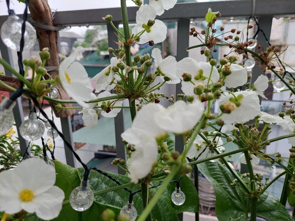 Alley Homestay 河内 外观 照片